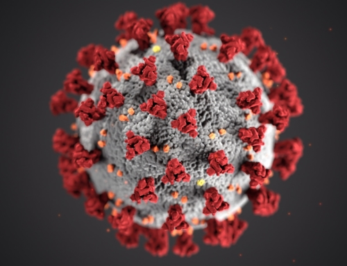 Coronavirus : Conseils à l’attention des assemblées au 14 mars 2022