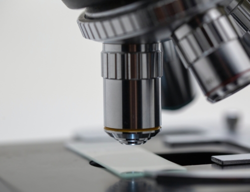Bible et science : la recherche a du retard