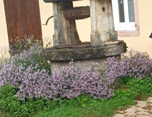 Ferme en vente à la Chapelle Thècle (F-71)
